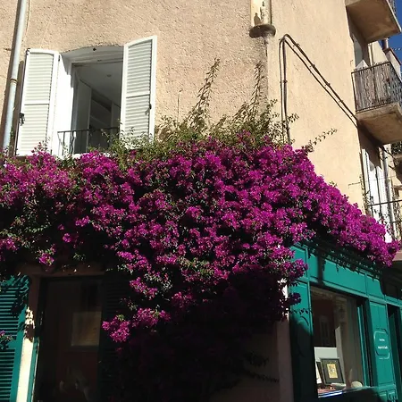 Apartment Studio Citadelle *
